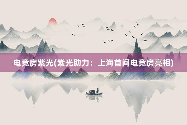 电竞房紫光(紫光助力：上海首间电竞房亮相)