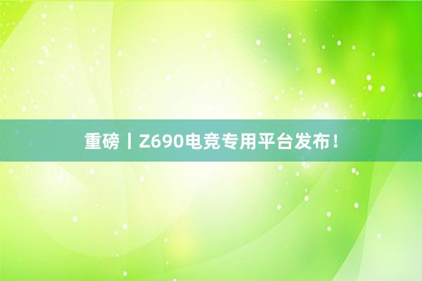 重磅丨Z690电竞专用平台发布！