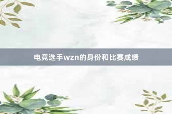 电竞选手wzn的身份和比赛成绩