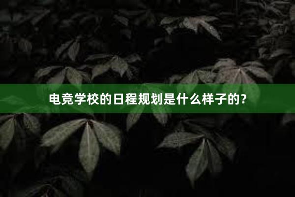 电竞学校的日程规划是什么样子的？